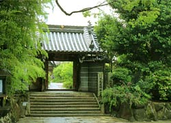 萩の寺 / 写真１